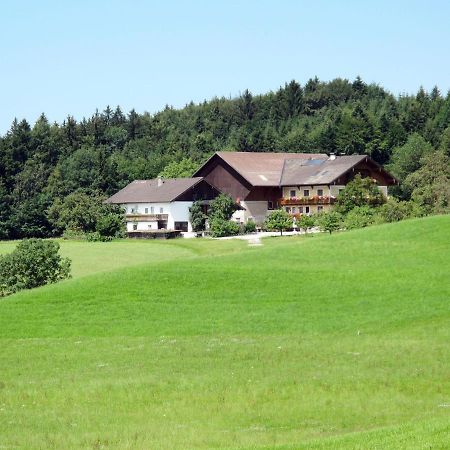 Apartment Bauernhof Vorderroid - Mon400 Oberhofen am Irrsee Eksteriør bilde
