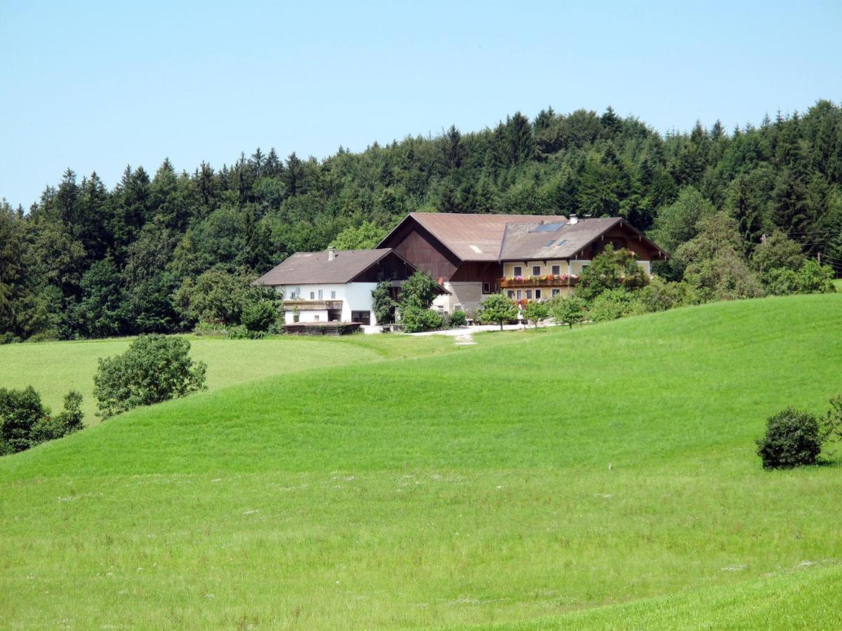 Apartment Bauernhof Vorderroid - Mon400 Oberhofen am Irrsee Eksteriør bilde
